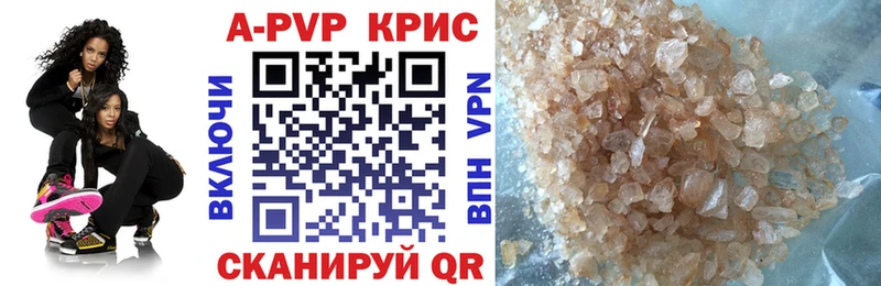 A PVP СК КРИС  Волгореченск 