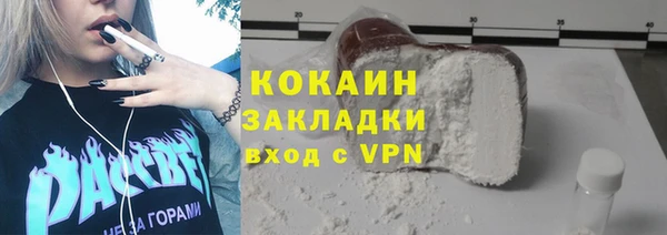 тгк Богородицк
