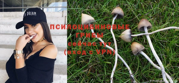 тгк Богородицк