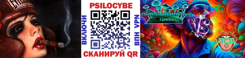 МЕГА ссылки  Волгореченск  Псилоцибиновые грибы мицелий 